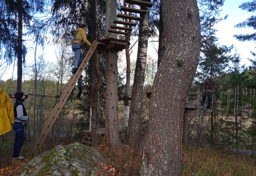 Zipline Лайт