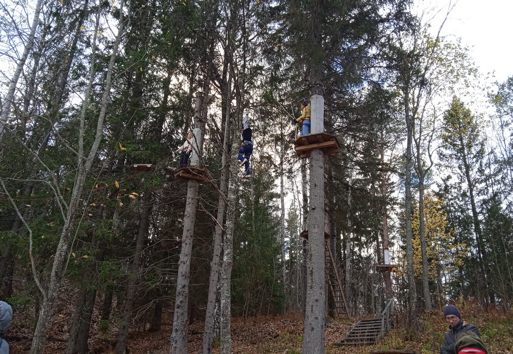 Zipline Медиум