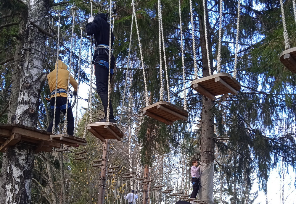Zipline над карельским лесом